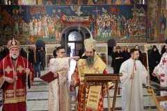 IMG_5256-Medium