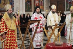 IMG_5262-Medium