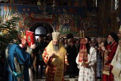 IMG_5305-Medium