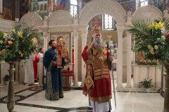IMG_5308-Medium