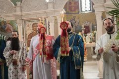 IMG_5310-Medium