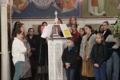 IMG_5320-Medium