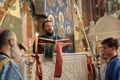 IMG_5334-Medium