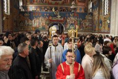 IMG_5341-Medium