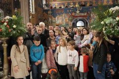 IMG_5358-Medium