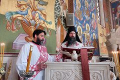 IMG_20230312_093940-Medium