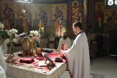 IMG_5424-Medium