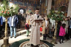 IMG_5446-Medium