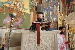 IMG_5449-Medium