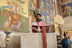 IMG_5450-Medium