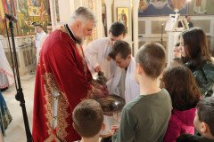 IMG_5455-Medium