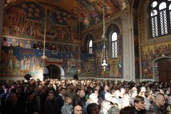 IMG_5489-Medium