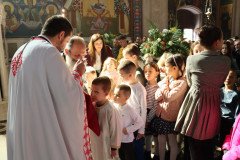 IMG_5496-Medium