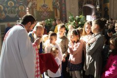 IMG_5497-Medium