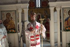 IMG_5515-Medium