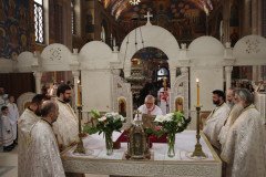 IMG_4813-Medium
