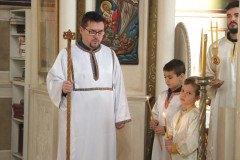 IMG_4520-Medium