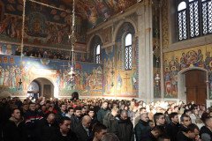 IMG_4530-Medium