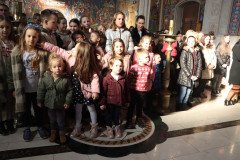 IMG_4538-Medium