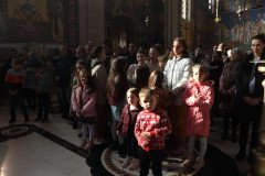 IMG_4541-Medium