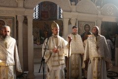 IMG_4551-Medium