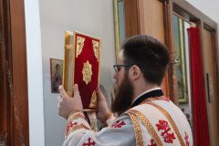 IMG_5579-Medium