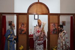 IMG_5591-Medium