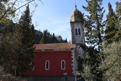 IMG_5611-Medium