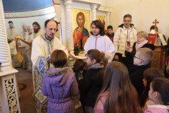 IMG_4628-Medium