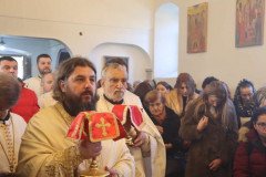 IMG_4634-Medium