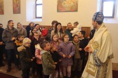 IMG_4661-Medium