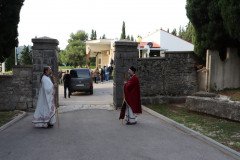 IMG_1549-Medium
