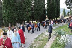 IMG_1555-Medium