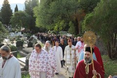 IMG_1558-Medium