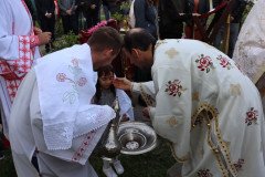 IMG_1598-Medium