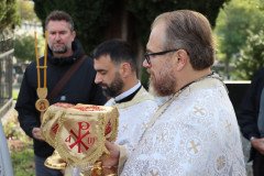 IMG_1604-Medium