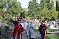 IMG_1620-Medium