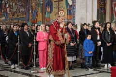 IMG_6314-Medium