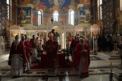 IMG_6324-Medium