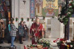 IMG_6327-Medium