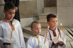 IMG_6331-Medium
