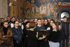IMG_6334-Medium