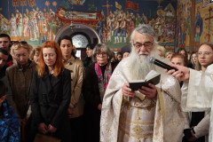 IMG_6395-Medium