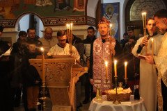 IMG_4206-Medium