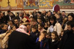 IMG_4244-Medium