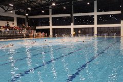 IMG_4272-Medium