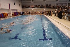 IMG_4281-Medium