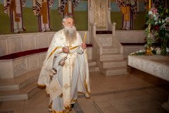 DSC_4934-Medium