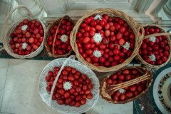 DSC_5094-Medium