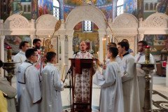 IMG_20221211_093533-Medium